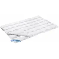 Vandyck 4-Jahreszeiten Bettdecke Duo 65% Daunen 35% Federn-200 x 200 cm