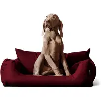 Tierlando NEMO Hundebett Hundesofa S M L Hundekorb Katzenbett 65 80 100cm - Größe: 100x80cm | Farbe: 29 Bordeaux