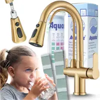 ARI 3-Wege Küchenarmatur NORDIC mit Wasserfilter-Anschluss, herausziehbare Brause, 360° schwenkbar, getrennte Wasserwege, Keramikkartusche Messing-Gold