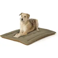 Wallace & Jones Wendedecke Shepherd für Hunde Beige M