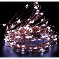 ROSNEK 10M 100LED USB Kupferdraht Micro Kaltweiß Lichterkette mit Fernbedienung Wasserdicht Innen Weihnachten Party Deko