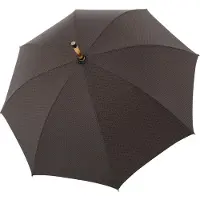 Doppler Esche Orion