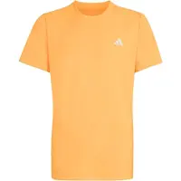 Adidas B Club Tee - luta