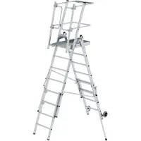 Proregal Plattformleiter FlexxStep | 6 Sprossen | mit Teleskopaufsatz plus 2 Sprossen und beidseitigem Handlauf | Aluminium | Rutschsichere Leiterschuhe