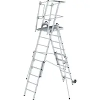 Proregal Plattformleiter FlexxStep | 6 Sprossen | mit Teleskopaufsatz plus 3 Sprossen und beidseitigem Handlauf | Aluminium | Rutschsichere Leiterschuhe