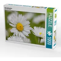 CALVENDO Gänseblümchen 1000 Teile Puzzle quer 640x480mm, Kruse Gisela; 7360839