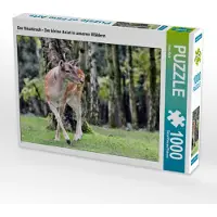 CALVENDO Puzzle Der Sikahirsch - Der kleine Asiat in unseren Wäldern | 1000 Teile Lege-Größe 64x48cm Foto-Puzzle für glückliche Stunden