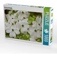 CALVENDO Blumen-Hartriegel 1000 Teile Puzzle quer 640x480mm, Kruse Gisela; 7360701