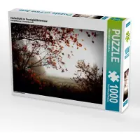 CALVENDO Herbstlicht im Pennigbüttelermoor 1000 Teile Puzzle quer 640x480mm, Adam Ulrike; 7400130
