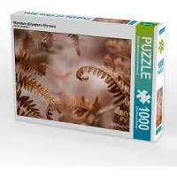 CALVENDO Puzzle Wurmfarn (Dryopteris filix-mas) | 1000 Teile Lege-Größe 64x48cm Foto-Puzzle für glückliche Stunden