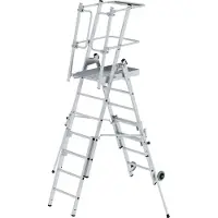 Proregal Plattformleiter FlexxStep | 5 Sprossen | mit Teleskopaufsatz plus 2 Sprossen und beidseitigem Handlauf | Aluminium | Rutschsichere Leiterschuhe