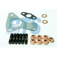 BTS Turbo T931245ABS Montagesatz Turbolader für RENAULT CLIO II (BB0/1/2, CB0/1/2) SCÉNIC II (JM0/1) MEGANE II Kombi (KM0/1) MEGANE II (BM0/1, CM0/1)