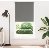 vidaXL Verdunkelungsrollo Grau 105x210cm Stoffbreite 100,7cm Polyester