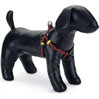 Beeztees Scribbles - Hundegeschirr - schwarz - 35-60 cm
