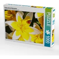 CALVENDO Puzzle Tulipa tarda mit Marienkäfer | 1000 Teile Lege-Größe 64x48cm Foto-Puzzle für glückliche Stunden