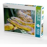 CALVENDO Puzzle Kornnattern | 1000 Teile Lege-Größe 64x48cm Foto-Puzzle für glückliche Stunden