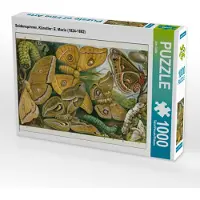 CALVENDO Puzzle Seidenspinner, Künstler: E. Morin (1824-1882) | 1000 Teile Lege-Größe 64x48cm Foto-Puzzle für glückliche Stunden