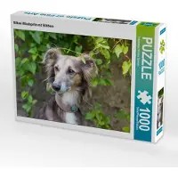 CALVENDO Puzzle Silken Windsprite mit Blättern | 1000 Teile Lege-Größe 64x48cm Foto-Puzzle für glückliche Stunden