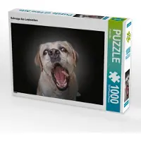 CALVENDO Puzzle Schnapp das Leckerchen | 1000 Teile Lege-Größe 64x48cm Foto-Puzzle für glückliche Stunden