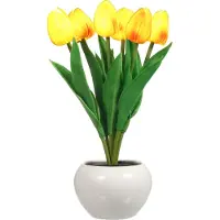 Aibecy Tulip Lamp Indoor Dekorative Tischlampe Blumentopflampe Ambient Nachtlicht Geschenk Topfpflanze
