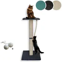 Markenlos Katzenkratzbaum Emmi 97 cm | Kratzsäule mit Sisal | Gepolsterte Liegefläche mit Katzenminze | Stabiler Katzenbaum aus Echtholz mit massiver Bodenplatte (dunkelgrau, Größe 2, Höhe 97 cm)