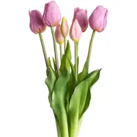 Otto Home Kunstpflanze "Maiva" Tulpenbündel im 7er-Set