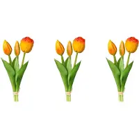 Otto Home Kunsttulpe "Tulpenbund"