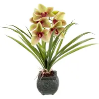 Otto Home Kunstblume "Orchidee" Mit Blätter im Topf aus Zement Künstliche Blume Cymbidium-Orchidee