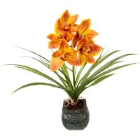 Otto Home Kunstblume "Orchidee" Mit Blätter im Topf aus Zement Künstliche Blume Cymbidium-Orchidee