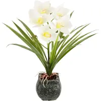 Otto Home Kunstblume "Orchidee" Mit Blätter im Topf aus Zement Künstliche Blume Cymbidium-Orchidee