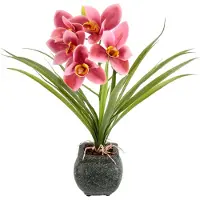 Otto Home Kunstblume "Orchidee" Mit Blätter im Topf aus Zement Künstliche Blume Cymbidium-Orchidee