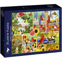 Bluebird Puzzle Puzzle Feathers and Company - 1000 Teile