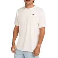 O'Neill Small Logo Kurzarm-t-shirt
