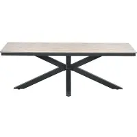 Gardissimo ARMATI Nonwood Alu-Gartentisch Gartenmöbel 220cm (eckig) anthrazit / hell