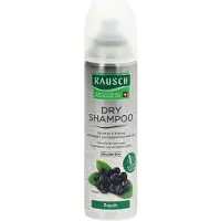 RAUSCH DRY SHAMPOOO Fresh 150 ml