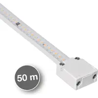 Sigor 8W/m Hochvolt LED-Streifen 3000K 50m 120LED/m IP65 230V 520lm/m Ra90