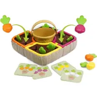 Chicco 2 In 1 Gemüsegarten