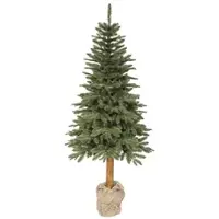 Everlands Tanne Tiaga 240cm - H ca. 240.00