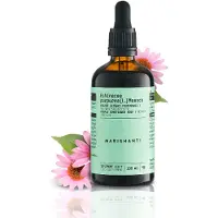 Marishanti Echinacea Extrakt – alkoholfrei 100 ml Tropfen