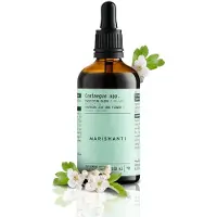 Marishanti Weißdorn Extrakt – alkoholfrei 100 ml Tropfen