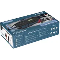 Ansmann Ladegerät Bleiakkus BC 6-12V / 10 A