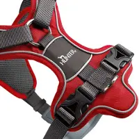 Hunter Geschirr Divo Rot/Grau - S/M