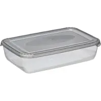 PLAST TEAM Vertriebs GmbH plast team Gefrierdose Polar 3,0 Liter grau rechteckig