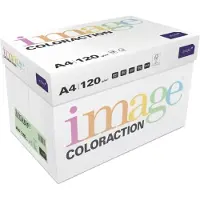 Image Coloraction Kopipapir Coloraction A4 120g Forest Pastel Green 250ark/pkt - (250 ark pr. pakke)