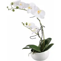 Creativ Green Kunstpflanze "Orchidee"