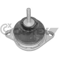 CAUTEX Lagerung Motor 460443 für Audi Vorne