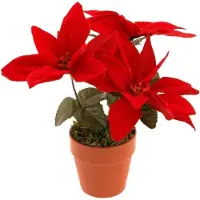 Home Styling Collection Home&Styling Collection Weihnachtsstern in rot | Gr.: onesize