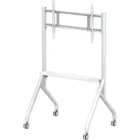 Techly ICA-TR53LW, 165,1 cm (65"), 2,54 m (100"), 100 kg, 75 x 75 mm, 1000 x 600 mm, Weiß