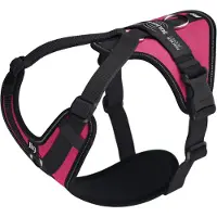 JULIUS K-9 Longwalk Light Hundegeschirr