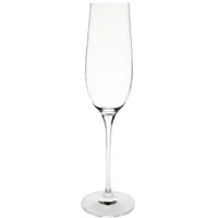Gastronoble 6 Olympia Campana Champagnergläser 26cl - Glas - Spülmaschinengeeignet